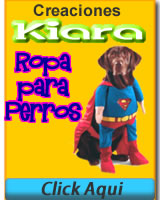 Ropa para CREACIONES KIARA en Gamarra